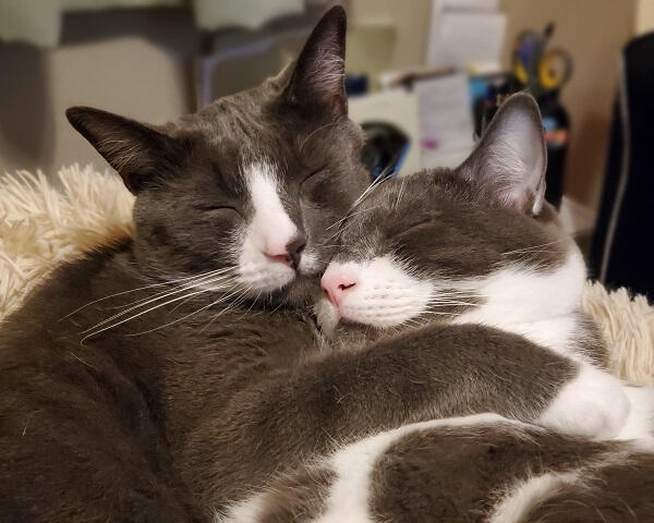 Winston & Joey Winston & Joey