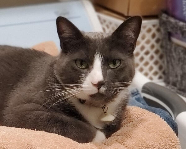 Winston Winston