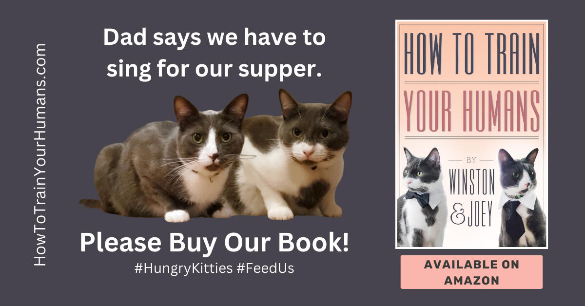 How To Train Your Humans Dad says we have to sing for our supper. Please buy our book! #HungryKities #FeedUs
